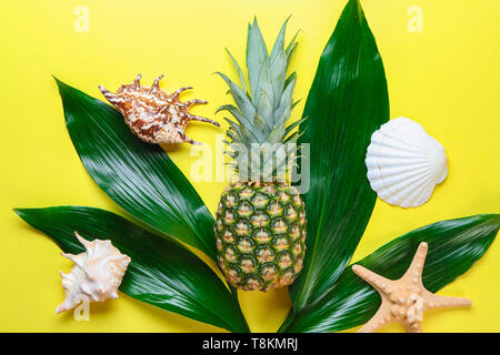 Sommer Komposition mit frischen tropischen Blättern, Ananas und Muscheln auf farbigen Hintergrund Stockfoto