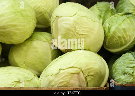 Haufen frischer grüner Kohl Stockfoto