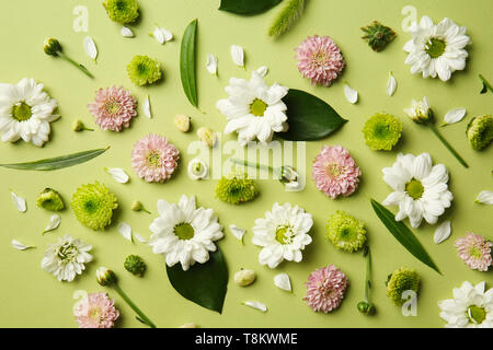 Flach Zusammensetzung mit schönen Blumen auf farbigen Hintergrund Stockfoto