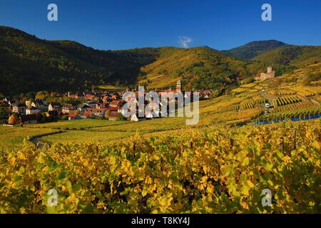 Frankreich, Haut Rhin, Route des Vins d'Alsace, Kaysersberg, der Weinberg und der Heilig-Kreuz-Kirche, die Stadt liegt an der Mündung des Weiss Tal in die Ebene des Elsass gelegen, am Eingang zu den Tälern von Ribeauvillé und Orbey, es durch zwei Berge, von denen der eine von den Ruinen des Schlossbergs gekrönt wird dominiert wird Stockfoto