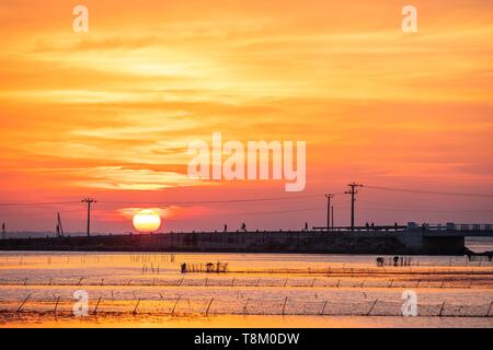 Sri Lanka, Northern Province, Jaffna, Sonnenuntergang über Palk Bay Stockfoto