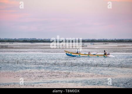 Sri Lanka, Northern Province, Jaffna, Sonnenuntergang über Palk Bay Stockfoto