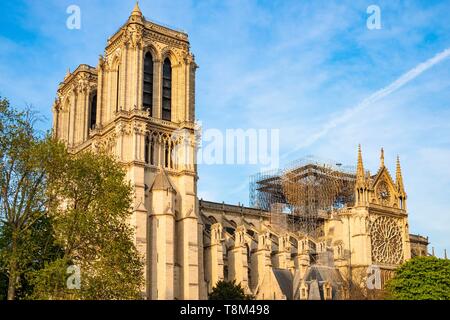 Frankreich, Paris, Bereich als Weltkulturerbe von der UNESCO, der Ile de la Cite, die Kathedrale von Notre Dame aufgelistet nach dem Brand vom 15. April 2019 Stockfoto
