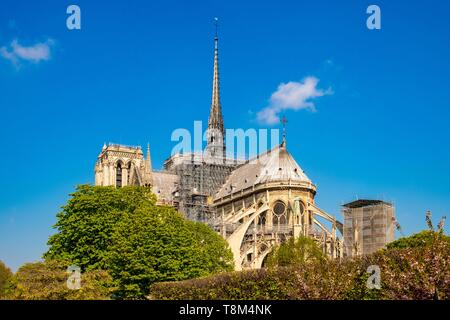 Frankreich, Paris (75), UNESCO-Weltkulturerbe, Ile de la Cité, Kathedrale Notre-Dame und Sanierung Gerüst) Stockfoto