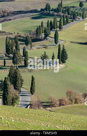 Italien, Toskana, Val d'Orcia als Weltkulturerbe von der UNESCO, Monticchiello, kurvenreiche Straße mit Zypressen Stockfoto