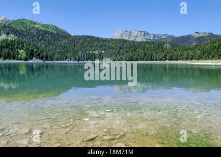 Montenegro, Region Durmitor, Schwarzer See im Nationalpark Durmitor Stockfoto