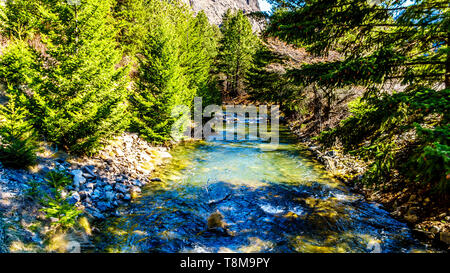 Das klare Wasser der Lachse laichen Kanal auf Aussprache cayoosh Creek zwischen Seton Lake und den Fraser River in British Columbia, Kanada Stockfoto