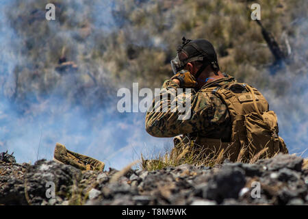 Ein US-Marine mit Echo Unternehmen, 2.BATAILLON, 3. Marine Regiment, setzt auf eine Gasmaske während einem platoon - Attack als Teil der Übung Bougainville II auf Palette 10, Pohakuloa Training Area, California, 11. Mai 2019. Bougainville II ist die zweite Phase der einsatzvorbereitenden Ausbildung durch das Bataillon durchgeführt, um die Einheit des Zusammenhalts und Bekämpfung der Bereitschaft zu verbessern. (U.S. Marine Corps Foto von Lance Cpl. Jakob Wilson) Stockfoto
