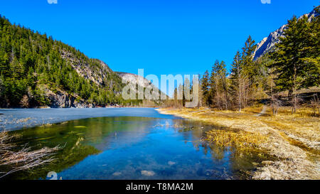 Kanada Gänse auf dem teilweise gefrorenen Gewässern der Krone See, entlang der Autobahn 99 in Marble Canyon Provincial Park in British Columbia, Kanada Stockfoto