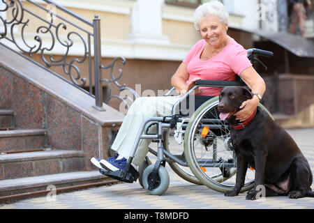 Ältere Frau im Rollstuhl und Ihr Hund in der Nähe von Treppen im Außenbereich Stockfoto