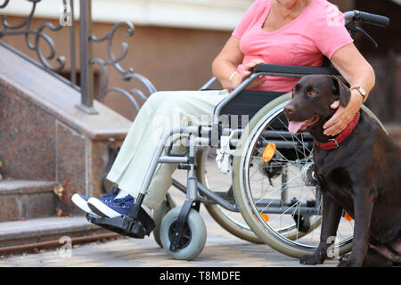 Ältere Frau im Rollstuhl und Ihr Hund in der Nähe von Treppen im Außenbereich Stockfoto