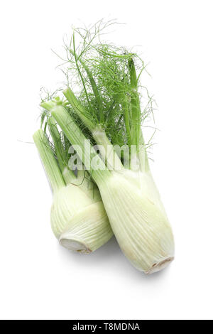 Frischen Fenchel Glühlampen auf weißem Hintergrund Stockfoto