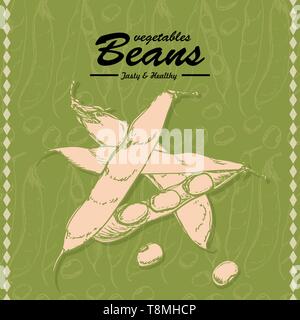 Frisches Gemüse Skizze Hintergrund. Jahrgang hand Zeichnung Abbildung der Bohnen. Vector Illustration für Ihr Design Stock Vektor
