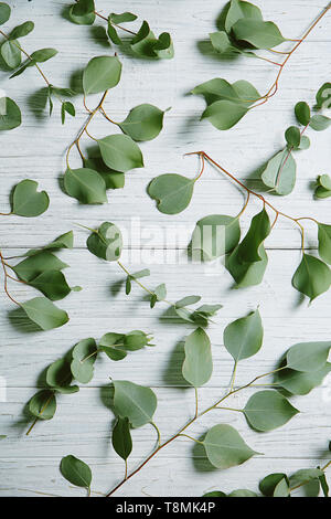 Eukalyptus Filialen mit frischen Blättern auf hellem Holztisch Stockfoto