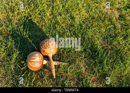 Kubanische maracas liegen auf dem grünen Rasen. Traditionelles Musikinstrument Stockfoto