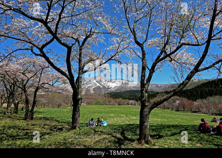 Frühling am Tazawa Kogen, Akita, Japan Stockfoto