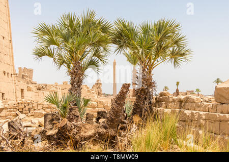 Ägyptischer Obelisk zwischen zwei Palmen in den Ruinen von Karnak Tempel, Luxor, Ägypten Stockfoto
