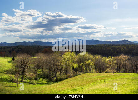 Der Blick von der South Terrace zeigt die Blue Ridge Mountains im Frühling im Biltmore Estate in Asheville, NC, USA Stockfoto