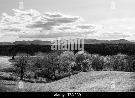 Der Blick von der South Terrace zeigt die Blue Ridge Mountains im Frühling im Biltmore Estate in Asheville, NC, USA Stockfoto