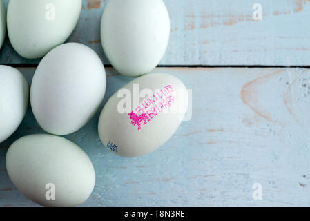 "Eier British Blue', die British Lion Mark, ein Food Safety Standard. England, UK. Stockfoto