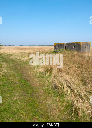 Alten Krieg Blick Bunker. Saltfleetby - Theddlethorpe Dunes National Nature Reserve, Lincolnshire, England, UK. Stockfoto