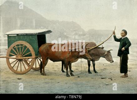 "Attelage Annamite Annamite" (Gabel), 1900. Schöpfer: Unbekannt. Stockfoto