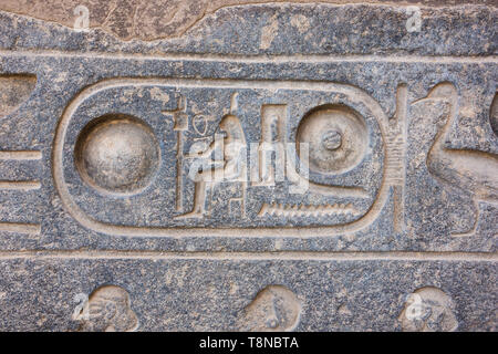 Die Kartusche von Ramses II. in der Tempel von Luxor Stockfoto