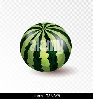 Realistische reif ganze Wassermelone. Freien Speicherplatz für Ihre Texte und Branding. Vector 3D-Abbildung. Stock Vektor