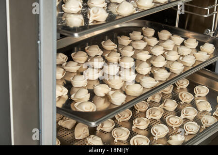 Industrielle Gefrierschrank. Schockfrosten. Professionelle Küche Ausstattung für das Einfrieren von Halbzeugen, Fisch, Fleisch, Gemüse und Obst. Stockfoto