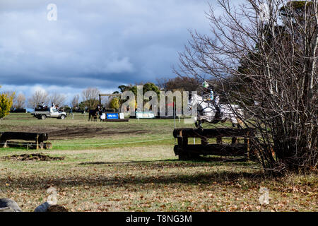 Reiter konkurrieren auf dem Marcus Oldham Ballarat International Horse Trials 2019 Stockfoto