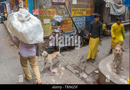 Straßenszene in engen Gassen der alten Stadt Varanasi, Indien Stockfoto
