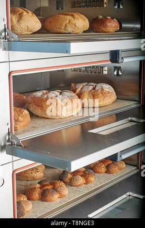 Industrielle elektrischer Ofen für die Verpflegung mit Essen. Frisch gebackene Backwaren Stockfoto