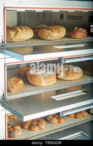 Industrielle elektrischer Ofen für die Verpflegung mit Essen. Frisch gebackene Backwaren Stockfoto