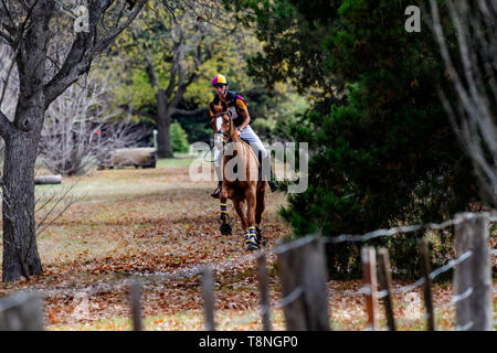 Reiter konkurrieren auf dem Marcus Oldham Ballarat International Horse Trials 2019 Stockfoto