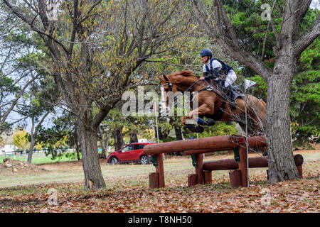 Reiter konkurrieren auf dem Marcus Oldham Ballarat International Horse Trials 2019 Stockfoto