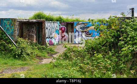 Historische WW2 Purdown schwer anti-aircraft Batterie für den Schutz der Stadt Bristol, jetzt verlassene und in Graffiti und Brambles abgedeckt Stockfoto