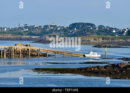 Frankreich, Finistere, Iroise, Roscoff, Batz Insel im Hintergrund, internat Gateway für die Insel Batz Stockfoto