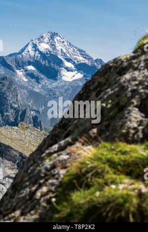 Monte Disgrazia, Val Masino, Valtellina, Sondrio Provinz, Lombardei, Italien Stockfoto