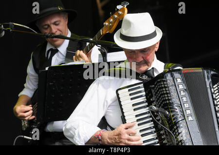 Giuseppe Galgano spielen mit Vinicio Capossela und der La Banda della Posta (die Post Band) WOMAD-Festival, Charlton Park, 27. Juli 2014 Stockfoto