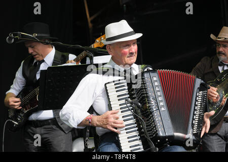 Giuseppe Galgano spielen mit Vinicio Capossela und der La Banda della Posta (die Post Band) WOMAD-Festival, Charlton Park, 27. Juli 2014 Stockfoto