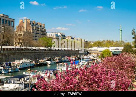 Frankreich, Paris, der Hafen von Arsenal Stockfoto