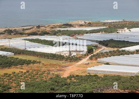 Gewächshauskultur Landschaft der Insel Kreta in Griechenland. Landwirtschaft an der Küste entlang - Olivenhaine und Obst Gewächshäuser. Stockfoto