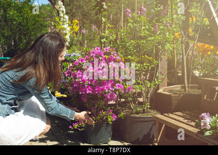 Frau entscheidet, Blumentöpfe im Garten Gärtnerei store Stockfoto