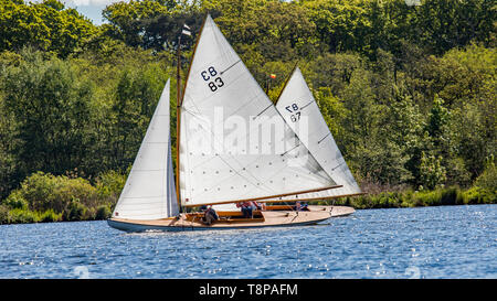 Sail yacht racing Gala auf Wroxham Broad, Norfolk. . Zwei braune Boote sind Hals und Nacken in einem Wild Segelboot Rennen auf der Norfolk Broads. Stockfoto