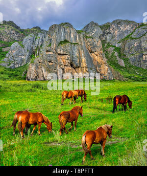 Herde von Braun Pferde grasen in Mountain Valley in der Nähe von steilen Klippen von alten, verwitterten Kalkstein in Altai Gebirge, Russland - Sommer bewölkt Landschaft. Werden Stockfoto