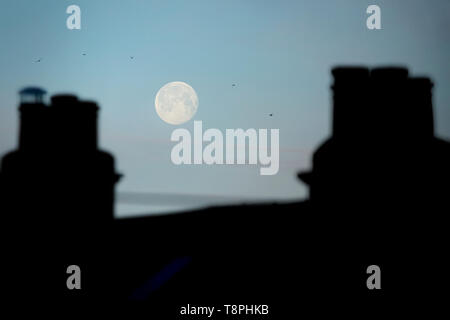 Am frühen Morgen Blick auf den vollen Mond über den Dächern von Bath, England, Großbritannien Stockfoto
