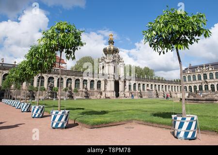 Dresden, Deutschland. 14 Mai, 2019. Orange Bäume stehen vor dem Kronentor im Dresdner Zwinger. Bereits im Jahre 1714 der Zwinger war die Heimat von über 600 Werke von rund 30 Arten. Seit 2017 wird die bitteren Orangen müssen zurück in die barocke Gartenanlage. Credit: Sebastian Kahnert/dpa-Zentralbild/dpa/Alamy leben Nachrichten Stockfoto