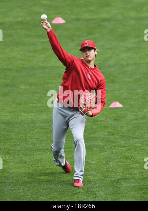 Shohei Ohtani von spielt Los Angeles Engel 'Catch vor der Major League Baseball Spiel gegen die Minnesota Twins im Oriole Park an Zielfeld in Minneapolis, Minnesota, USA, 13. Mai 2019. Quelle: LBA/Alamy leben Nachrichten Stockfoto