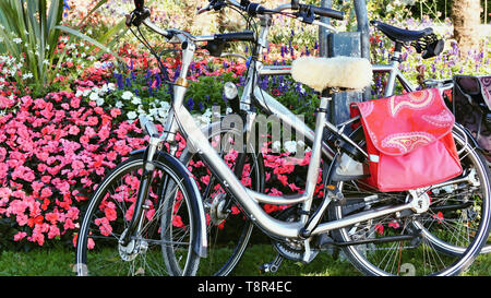 Die zwei silbernen Fahrräder lehnen an einer dichten floralen Hedge von hell-rosa Blüten und vielen bunten Frühling Blumen auf einem sehr frischen, grünen Rasen. Die Fron Stockfoto
