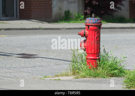 Ein roter Hydrant mit Gras, das um ihn herum auf einer Stadtstraße in Vancouver, B. C., Kanada wächst. Stockfoto